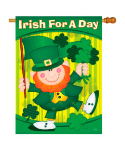 Irish for a Day