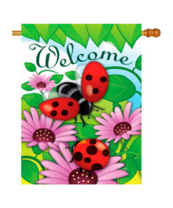 Welcome Ladybug