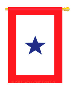 Blue Star Service
