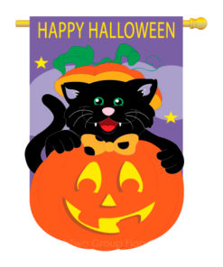 Black Cat