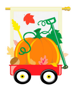 Fall Pumpkins