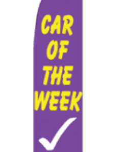 2.5'x11.5' Car of the Week