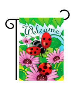 Welcome Ladybug