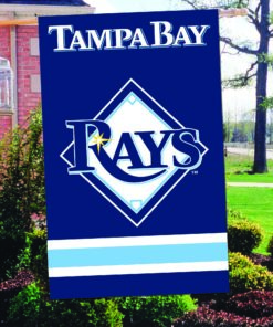 44"x28" RAYS Applique Banner