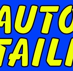 3' x 10' Auto Detailing Banner