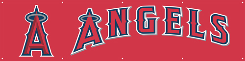 8'x2' ANGELS Banner