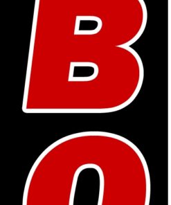 38'' x 138'' BBQ flames Swooper Flag