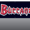 Buccaneers 8'x2' Applique Banner