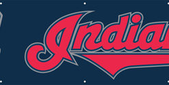 8'x2' INDIANS Banner