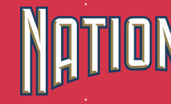 8'x2' NATIONALS Banner