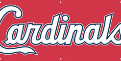 8'x2' CARDINALS Banner