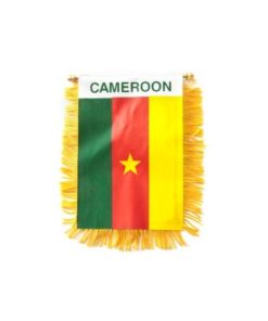 Cameroon Mini Banner