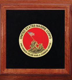 Iwo Jima Medallion and Pin Display