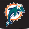 Dolphins Eye Black Strips