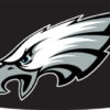 Eagles Eye Black Strips