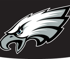 Eagles Eye Black Strips