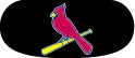 Cardinals Eye Black Strips per pack