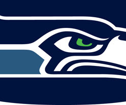Seahawks Eye Black Strips