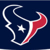 Texans Eye Black Strips