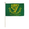 Erin Go Bragh 12x18in Stick Flag