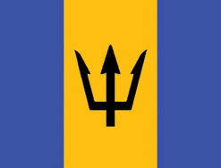 Barbados 3x5' Poly Flag