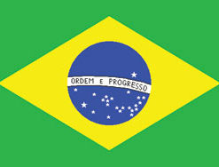 Brazil 3x5' Poly Flag