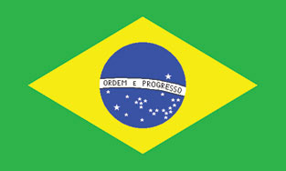 Brazil 3x5' Poly Flag