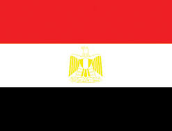 Egypt 3x5' Poly Flag