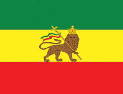 Ethiopia Lion 3x5' Poly Flag