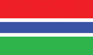 Gambia 3x5' Poly Flag