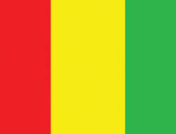 Guinea 3x5' Poly Flag