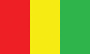 Guinea 3x5' Poly Flag