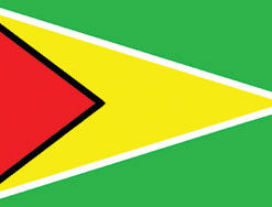 Guyana 3x5' Poly Flag