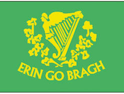 Irish/ Erin Go Bragh 3x5' Poly Flag