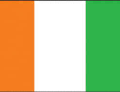 Ivory Cost 3x5' Poly Flag
