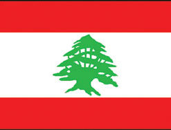 Lebanon 3x5' Poly Flag