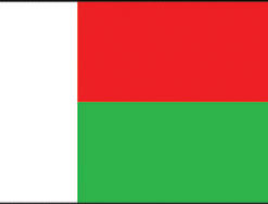 Madagascar 3x5' Poly Flag