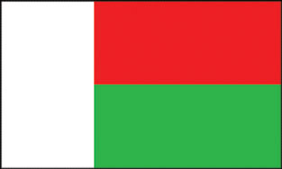 Madagascar 3x5' Poly Flag