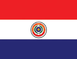 Paraguay 3x5' Poly Flag