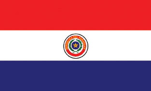 Paraguay 3x5' Poly Flag