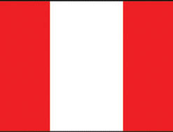 Peru 3x5' Poly Flag
