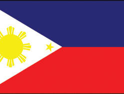 Philippines 3x5' Poly Flag