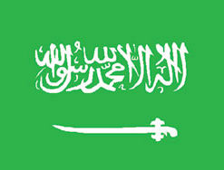 Saudi Arabia 3x5' Poly Flag