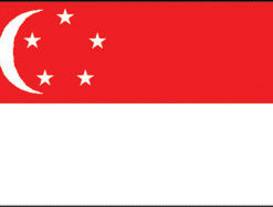 Singapore 3x5' Poly Flag