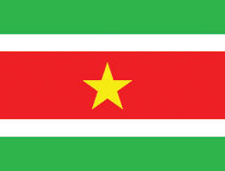 Surinam 3x5' Poly Flag