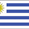Uruguay 3x5' Poly Flag