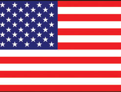 United States 3x5' Poly Flag