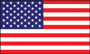 United States 3x5' Poly Flag