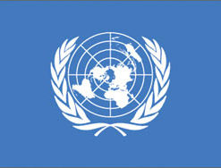 United Nations 3x5' Poly Flag