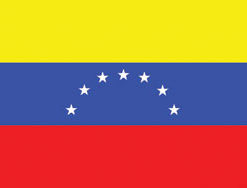 Venezuela 3x5' Poly Flag